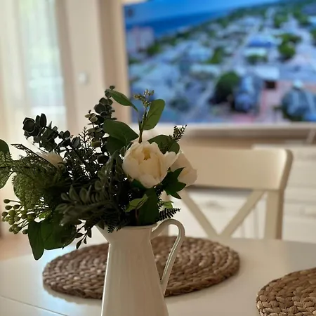 Mv-brilliant شقة *